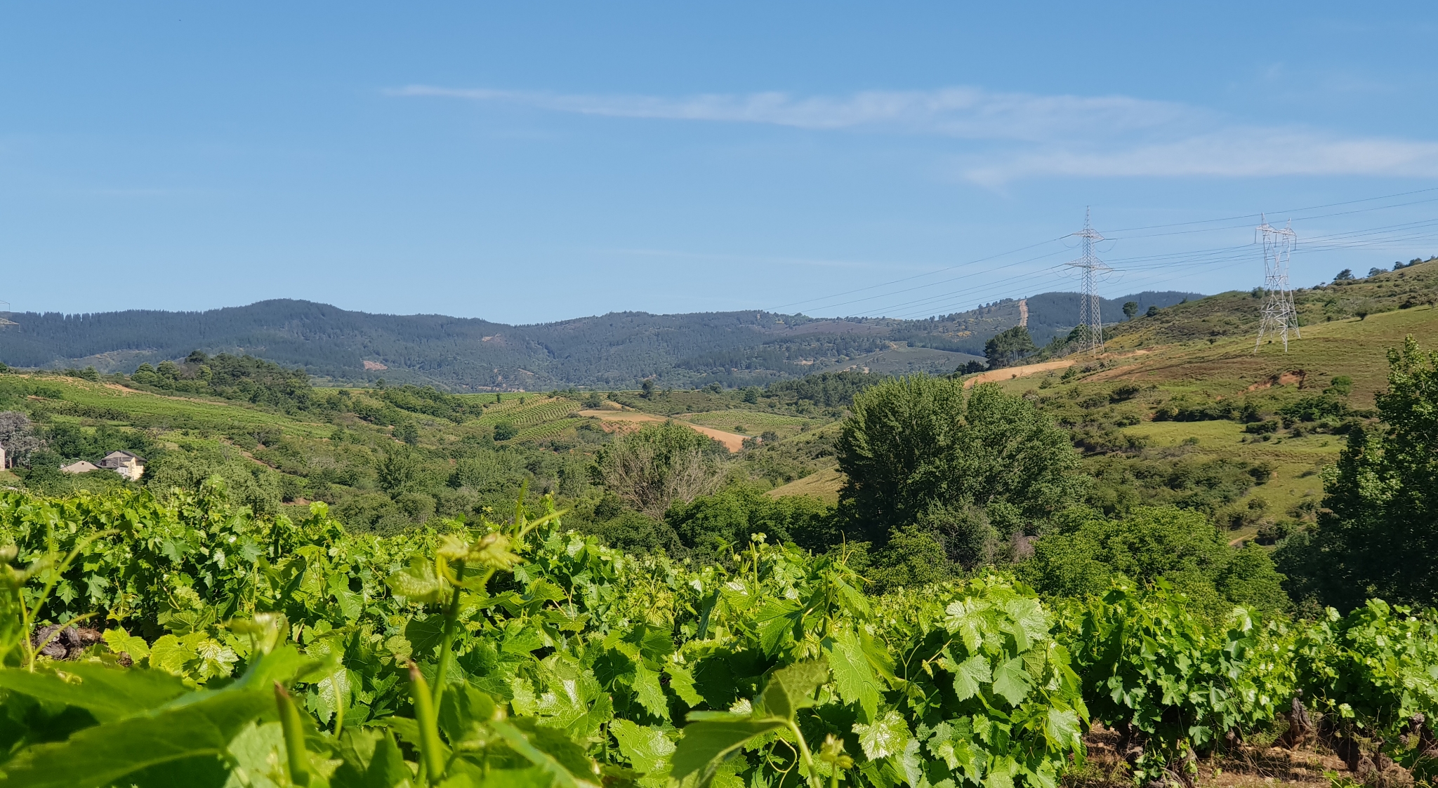 Weinanbauflächen bei Villafranca