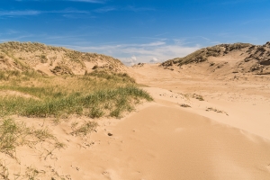 Dunes de Slack