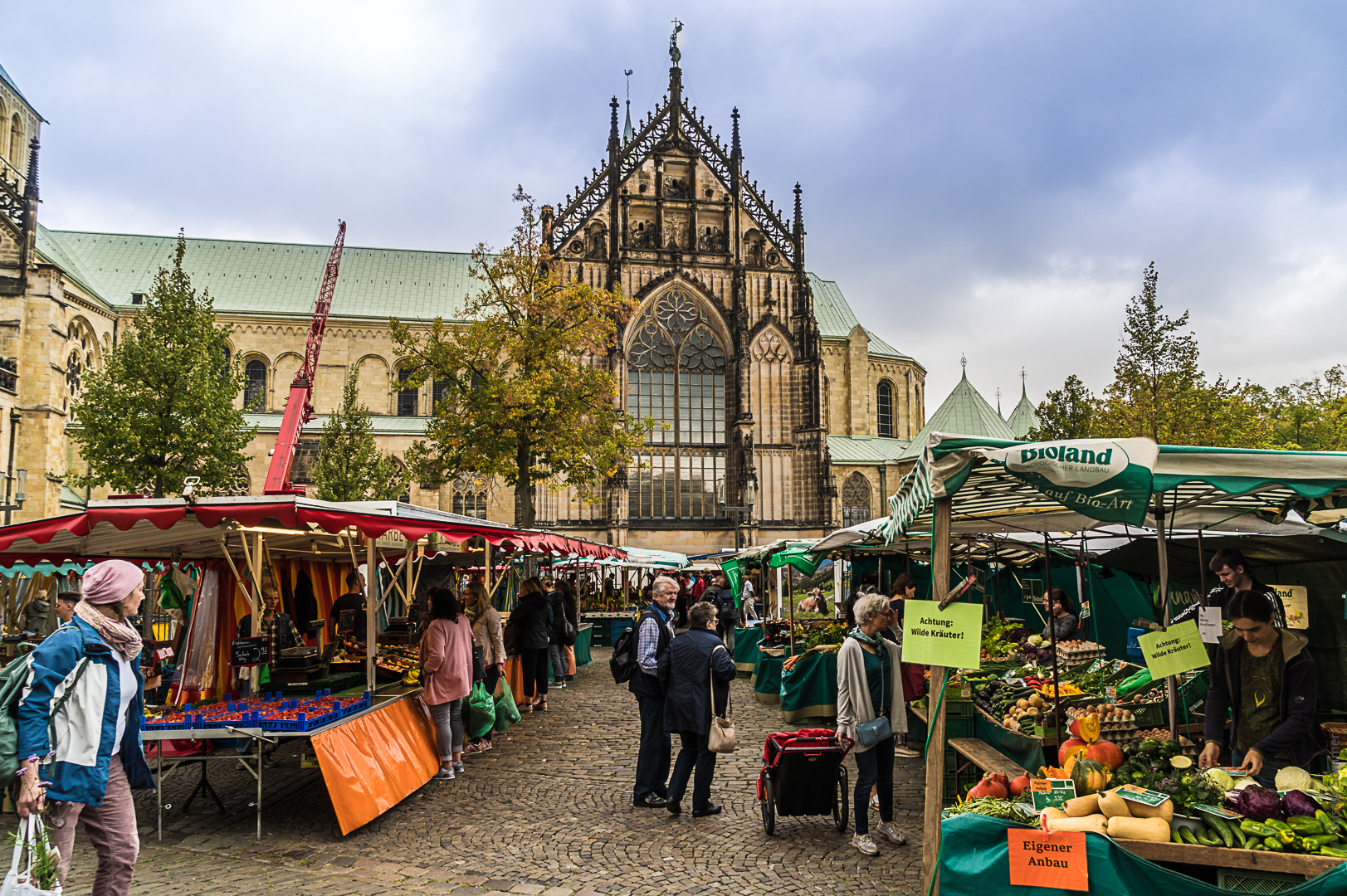 Wochenmarkt in Münster